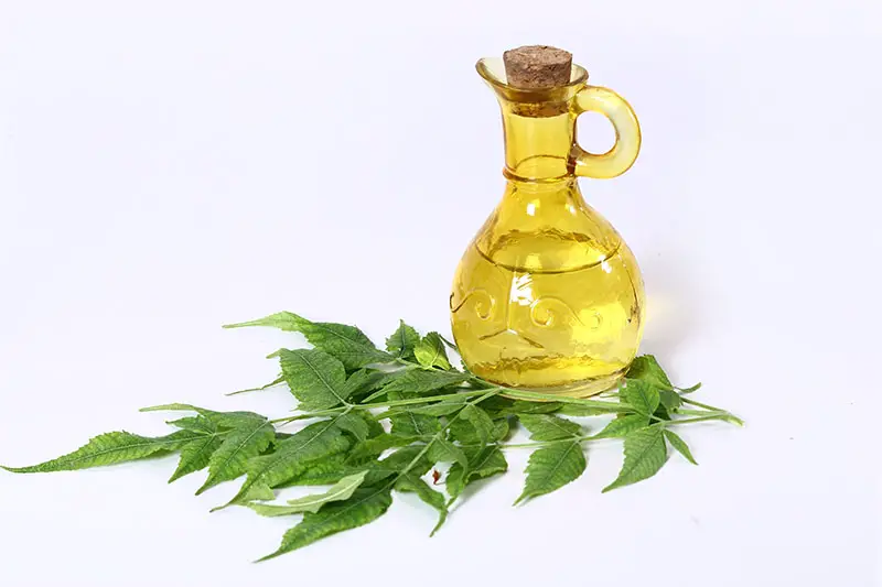 how-to-use-neem-oil-for-hair-growth-get-thicker-stronger-hair