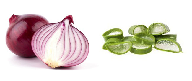 Aloe Vera And Onions For Hair